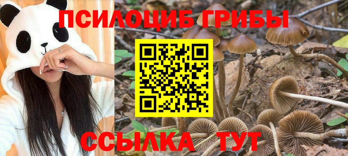 Галлюциногенные грибы MAGIC MUSHROOMS  Псилоцибиновые грибы Psilocybe  Вход с VPN  Шахты 
