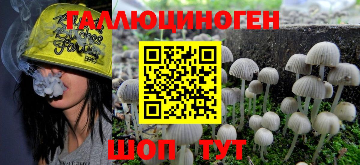 МАРИХУАНА  Шахты  Вейп ТГК  ГАШ  Cocaine  Вход с VPN  Меф МЯУ МЯУ   Бошки Шишки  ГАШИШ  Где найти наркотики?  Кетамин 